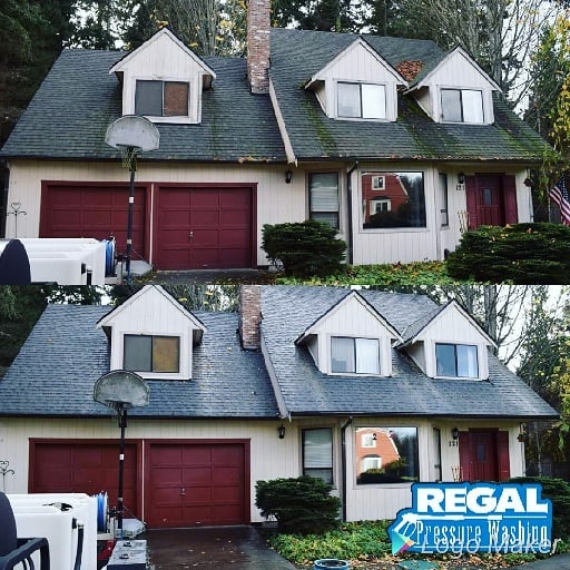 Pressure Washing Roof in Port Townsend